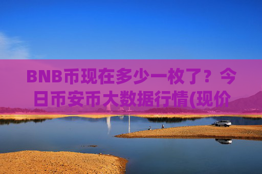 BNB币现在多少一枚了？今日币安币大数据行情(现价5171.1元)