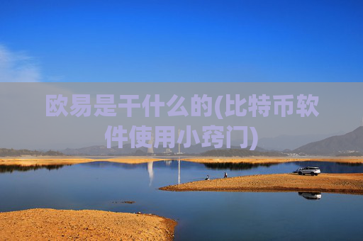 欧易是干什么的(比特币软件使用小窍门)