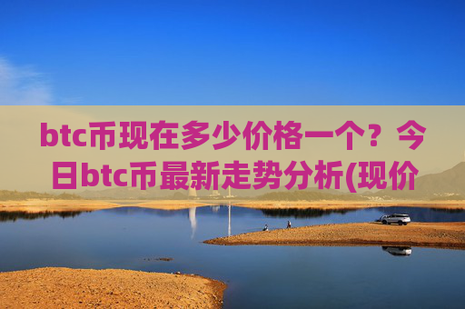 btc币现在多少价格一个？今日btc币最新走势分析(现价732914.19元)