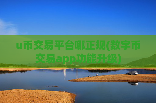 u币交易平台哪正规(数字币交易app功能升级)
