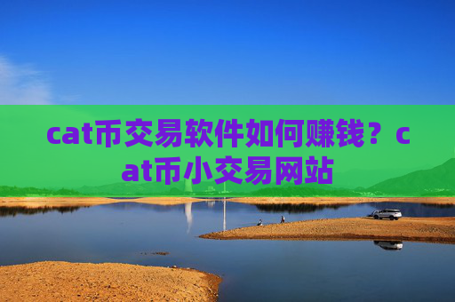 cat币交易软件如何赚钱？cat币小交易网站