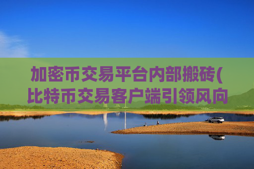 加密币交易平台内部搬砖(比特币交易客户端引领风向)