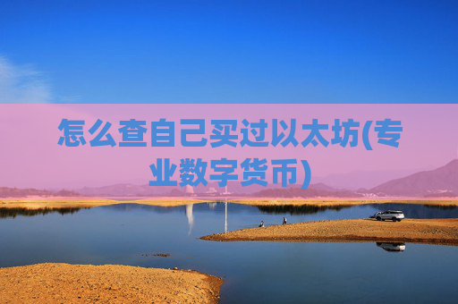 怎么查自己买过以太坊(专业数字货币)