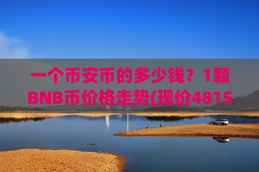 一个币安币的多少钱？1颗BNB币价格走势(现价4815.4元)