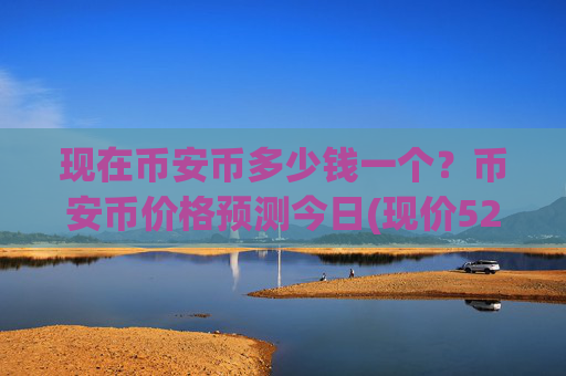 现在币安币多少钱一个？币安币价格预测今日(现价5246.61元)