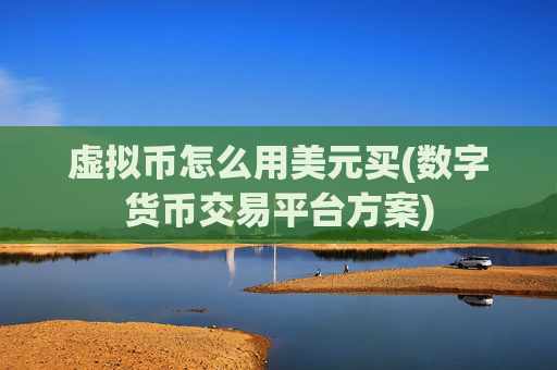 虚拟币怎么用美元买(数字货币交易平台方案)