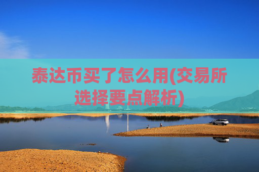 泰达币买了怎么用(交易所选择要点解析)
