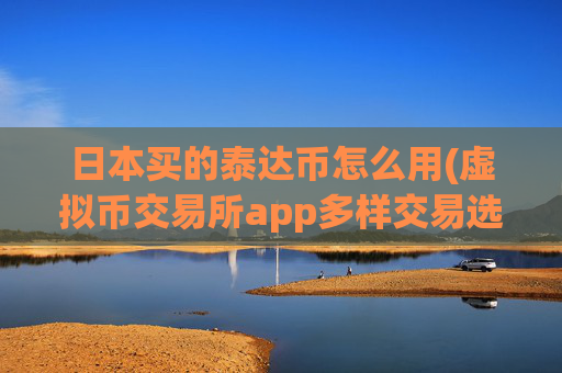 日本买的泰达币怎么用(虚拟币交易所app多样交易选择)