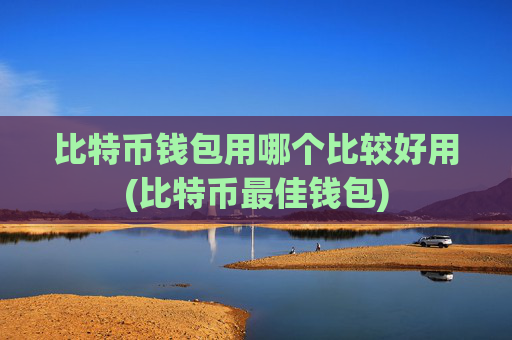比特币钱包用哪个比较好用(比特币最佳钱包)