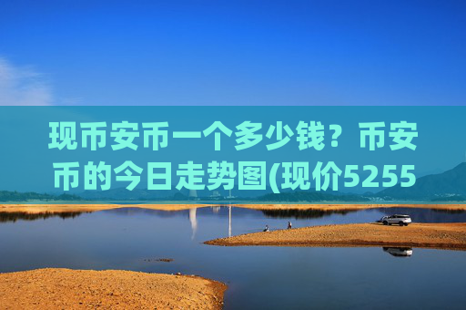 现币安币一个多少钱？币安币的今日走势图(现价5255.49元)
