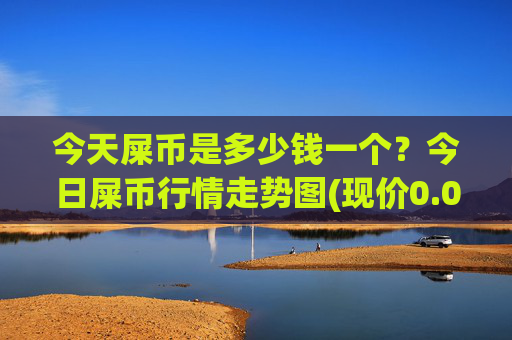今天屎币是多少钱一个？今日屎币行情走势图(现价0.00023313元)