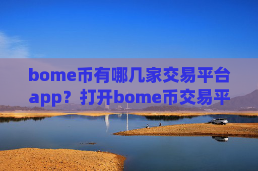 bome币有哪几家交易平台app？打开bome币交易平台app