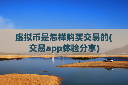 虚拟币是怎样购买交易的(交易app体验分享)