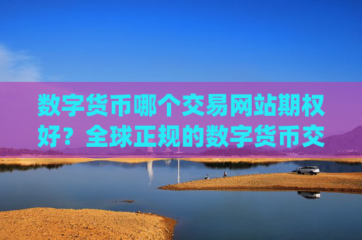 数字货币哪个交易网站期权好？全球正规的数字货币交易所app下载