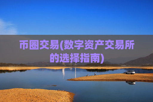 币圈交易(数字资产交易所的选择指南)