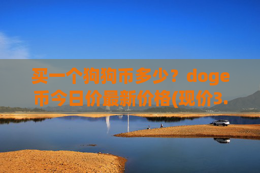 买一个狗狗币多少?doge币今日价最新价格(现价3.0373元)