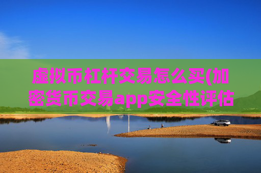 虚拟币杠杆交易怎么买(加密货币交易app安全性评估)