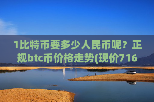1比特币要多少人民币呢？正规btc币价格走势(现价716920.77元)