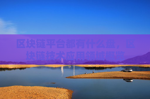 区块链平台都有什么盘，区块链技术应用领域概览
