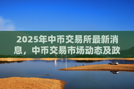 2025年中币交易所最新消息，中币交易市场动态及政策解读