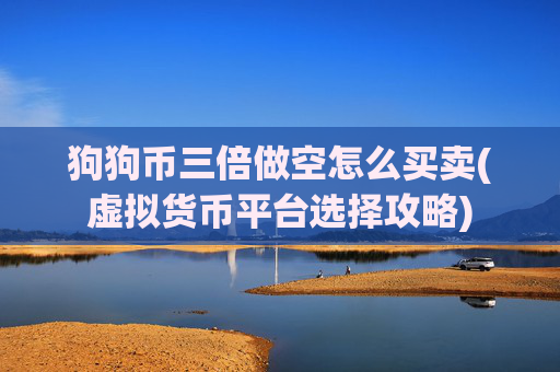 狗狗币三倍做空怎么买卖(虚拟货币平台选择攻略)