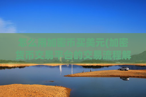 怎么用加密币买美元(加密货币交易平台的交易流程解析)