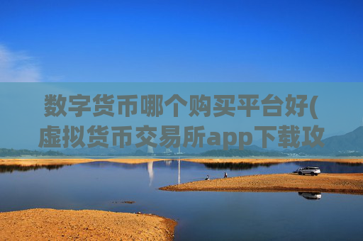 数字货币哪个购买平台好(虚拟货币交易所app下载攻略)