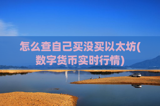 怎么查自己买没买以太坊(数字货币实时行情)