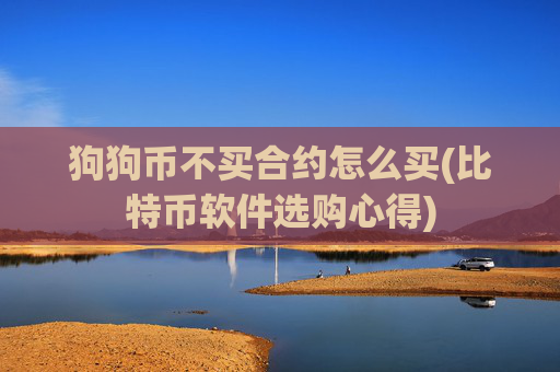狗狗币不买合约怎么买(比特币软件选购心得)