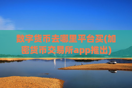 数字货币去哪里平台买(加密货币交易所app推出)