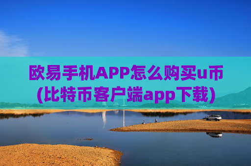 欧易手机APP怎么购买u币(比特币客户端app下载)