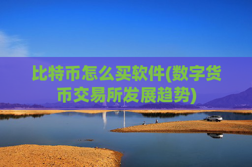 比特币怎么买软件(数字货币交易所发展趋势)