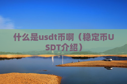 什么是usdt币啊（稳定币USDT介绍）