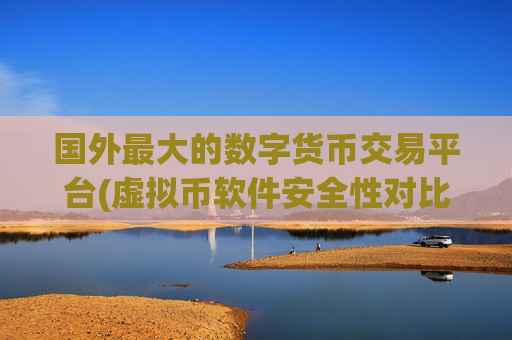 国外最大的数字货币交易平台(虚拟币软件安全性对比)