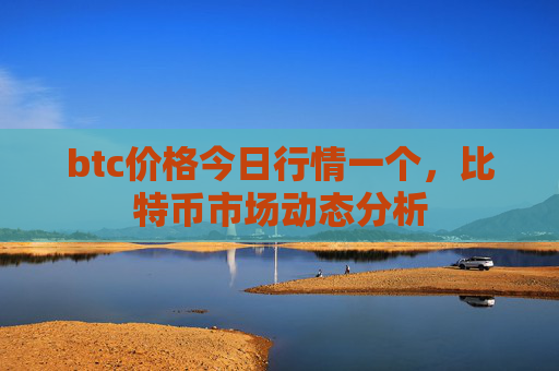 btc价格今日行情一个，比特币市场动态分析