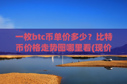 一枚btc币单价多少？比特币价格走势图哪里看(现价715653.99元)