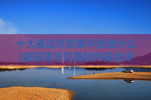 十大泰达币交易平台是什么(虚拟货币交易软件安全评估)