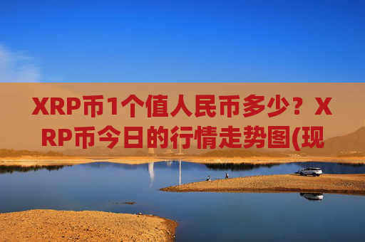 XRP币1个值人民币多少？XRP币今日的行情走势图(现价16.9068元)