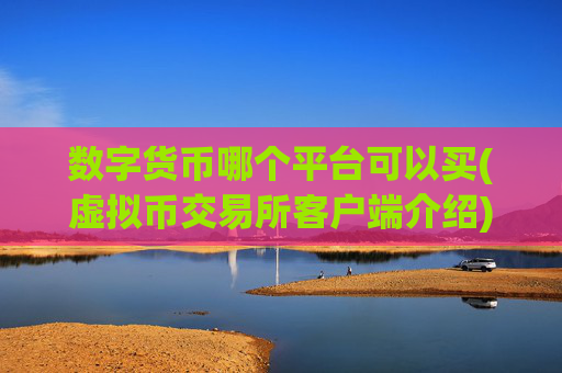 数字货币哪个平台可以买(虚拟币交易所客户端介绍)