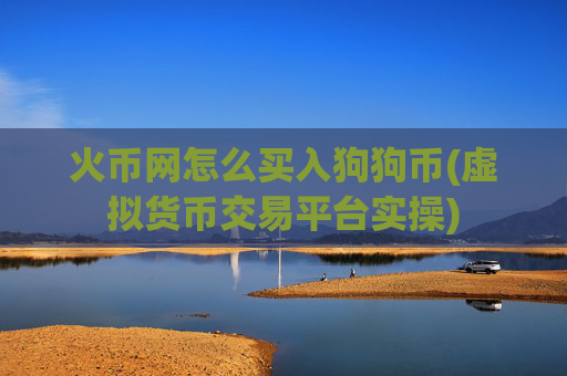 火币网怎么买入狗狗币(虚拟货币交易平台实操)