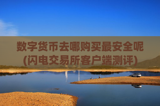 数字货币去哪购买最安全呢(闪电交易所客户端测评)