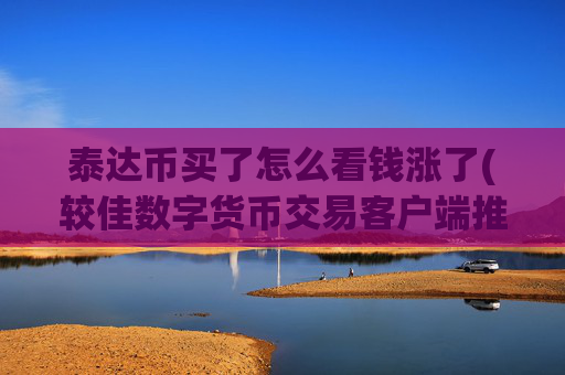 泰达币买了怎么看钱涨了(较佳数字货币交易客户端推介)