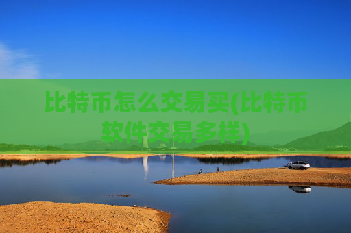 比特币怎么交易买(比特币软件交易多样)