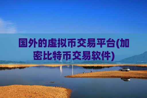 国外的虚拟币交易平台(加密比特币交易软件)