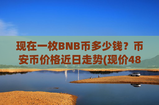 现在一枚BNB币多少钱？币安币价格近日走势(现价4826.56元)