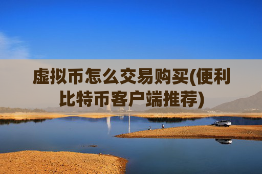 虚拟币怎么交易购买(便利比特币客户端推荐)