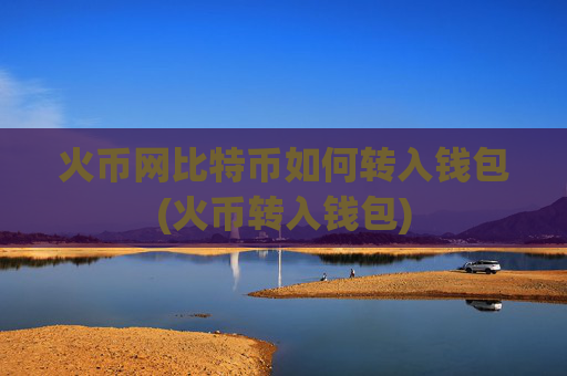 火币网比特币如何转入钱包(火币转入钱包)