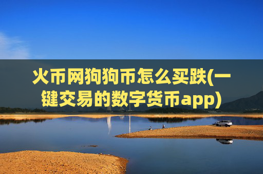 火币网狗狗币怎么买跌(一键交易的数字货币app)