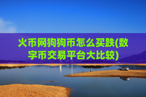 火币网狗狗币怎么买跌(数字币交易平台大比较)