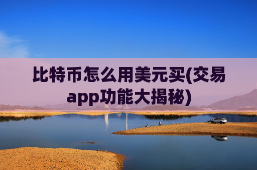 比特币怎么用美元买(交易app功能大揭秘)